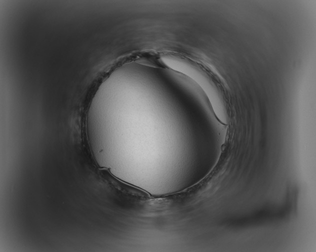X0000089381304200706291309