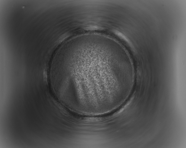 X0000089381305200706291309