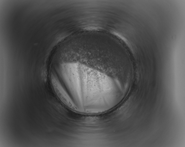X0000089381306200706291309