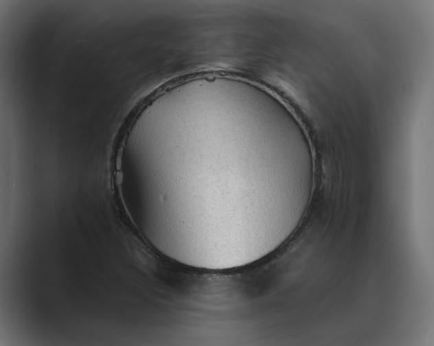 X0000089381308200706291309