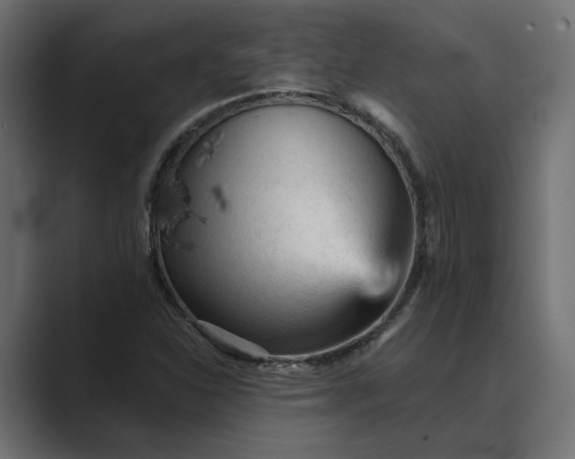 X0000089381310200706291309