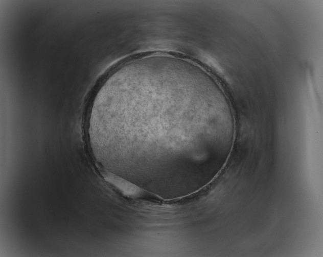 X0000089381312200706291309