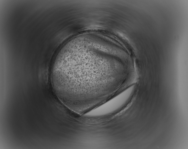 X0000089381313200706291309