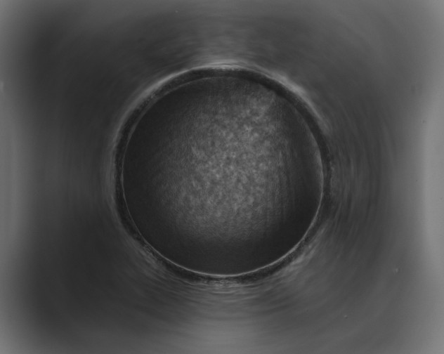 X0000089381319200706291310