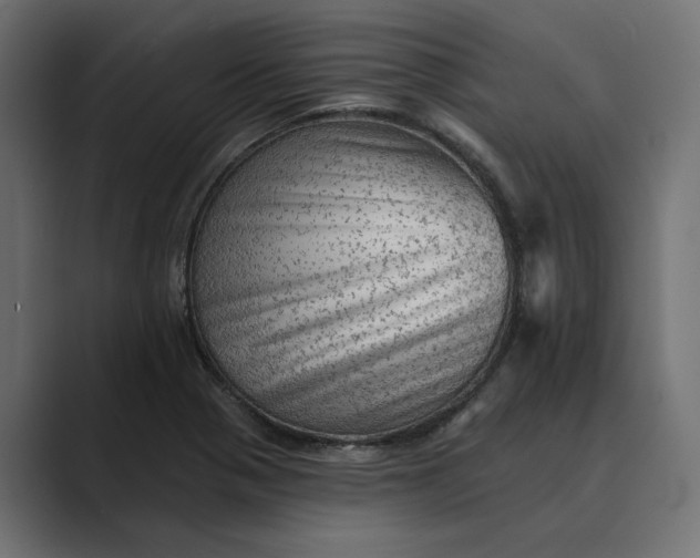 X0000089381321200706291310