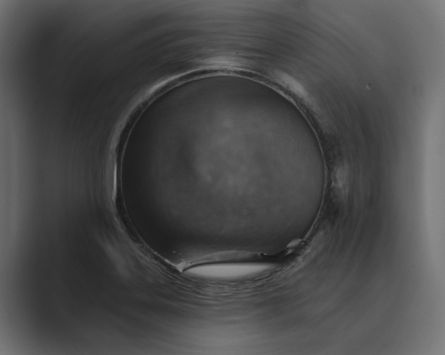 X0000089381323200706291310