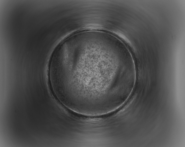 X0000089381325200706291310