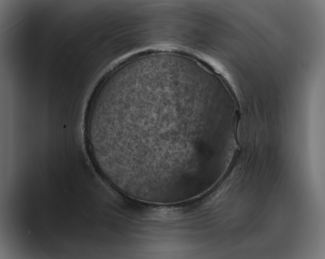 X0000089381327200706291310