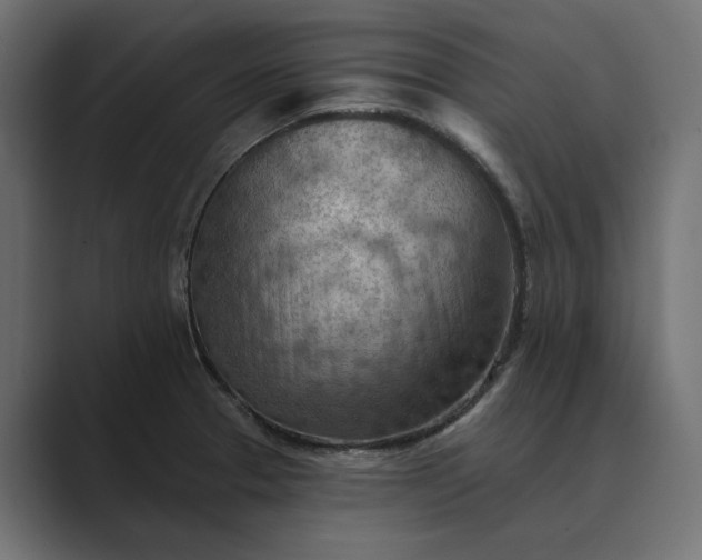 X0000089381329200706291310