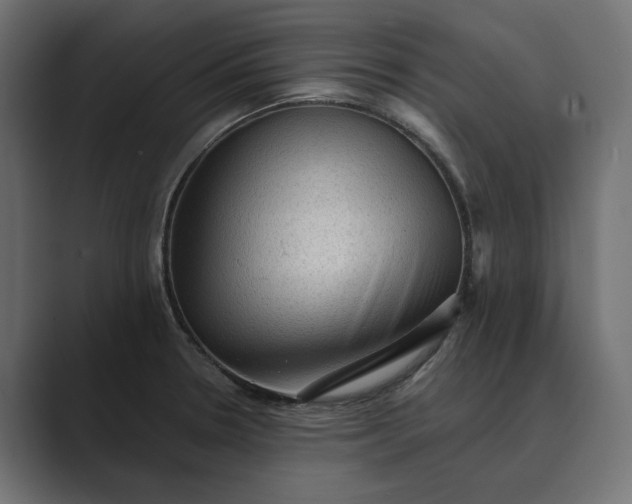 X0000089381330200706291310
