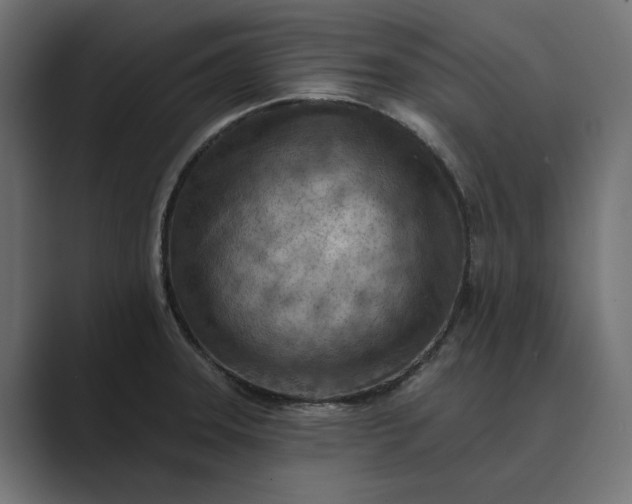X0000089381331200706291310