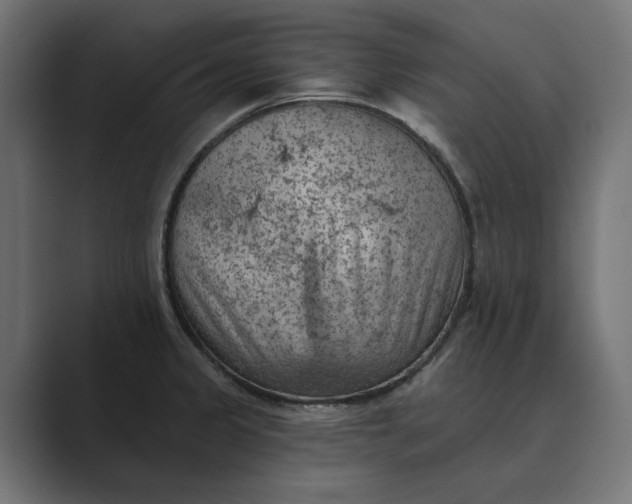 X0000089381333200706291310