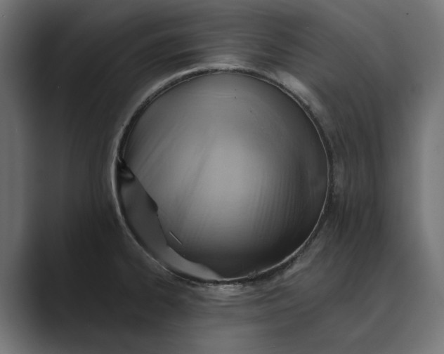 X0000089381334200706291310