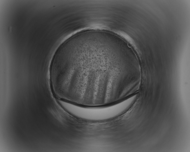 X0000089381335200706291310