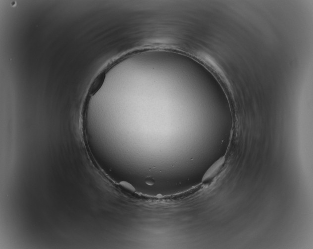 X0000089381336200706291310