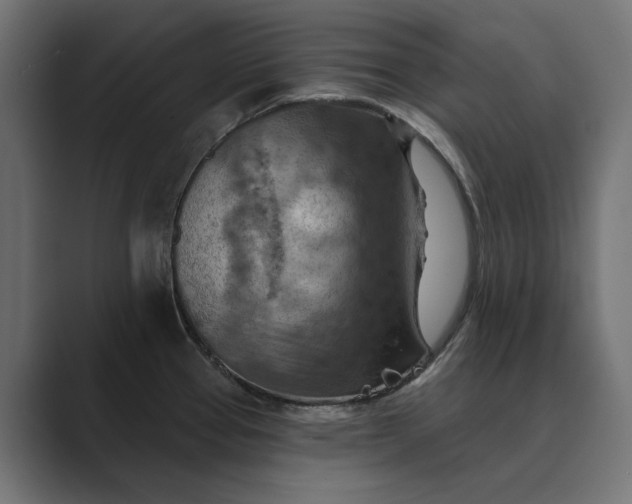 X0000089381337200706291310