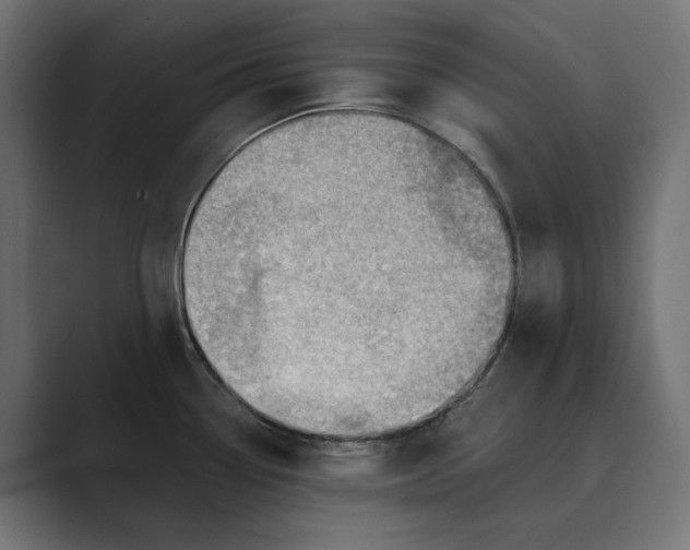 X0000089381338200706291310