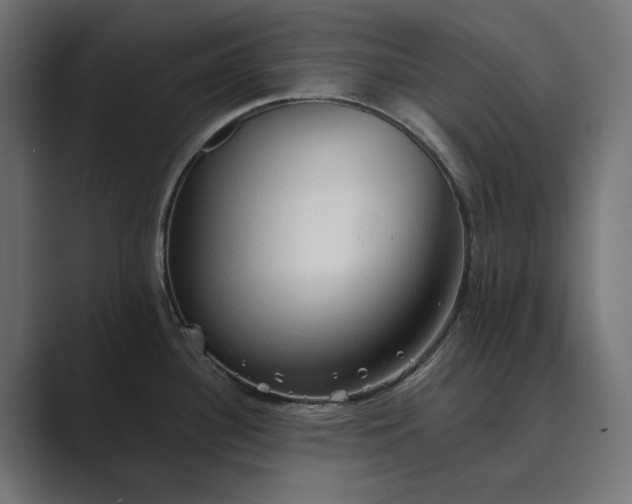 X0000089381340200706291310