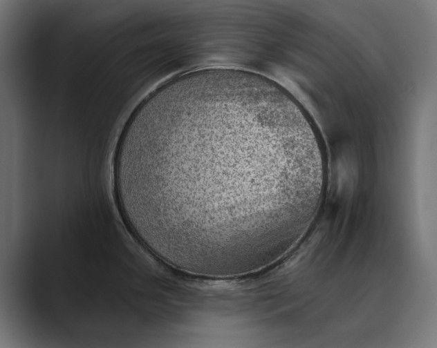 X0000089381341200706291310