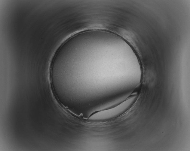 X0000089381342200706291310