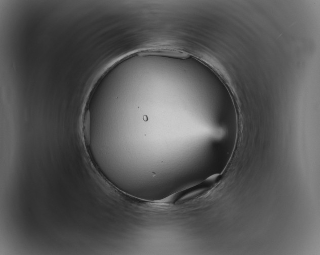 X0000089381344200706291310