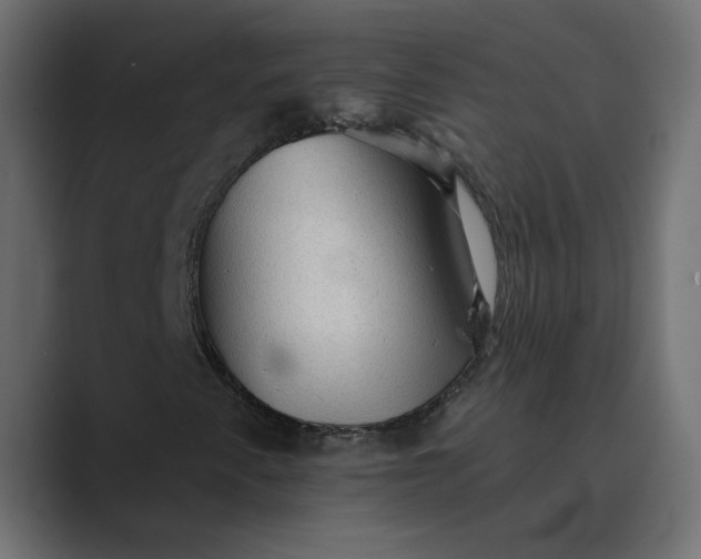 X0000089381345200706291309