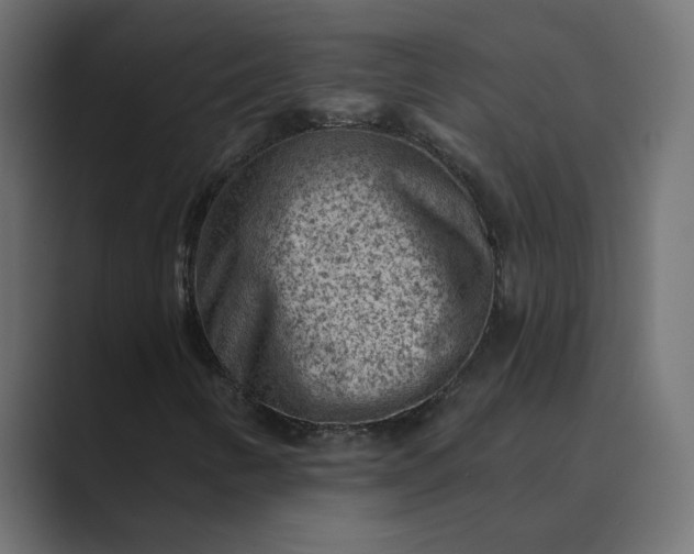 X0000089381346200706291309