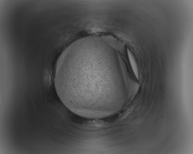 X0000089381348200706291309