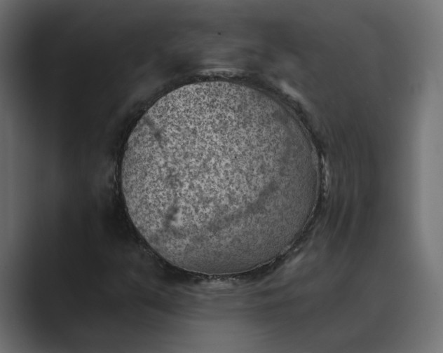 X0000089381351200706291309