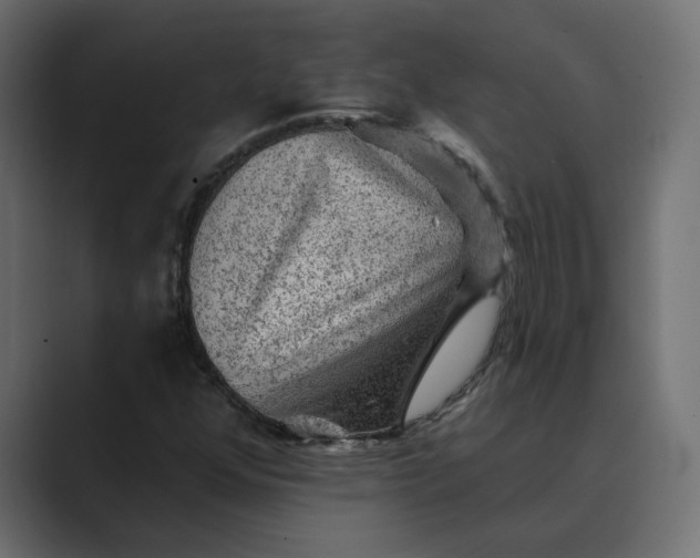 X0000089381352200706291309