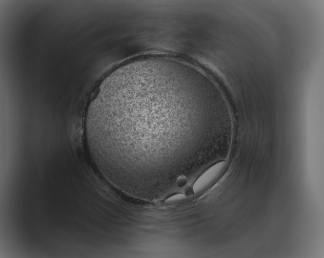 X0000089381355200706291309