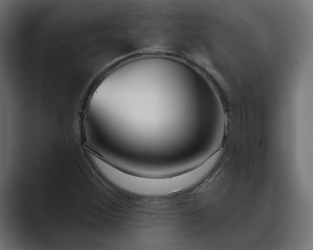 X0000089381356200706291309