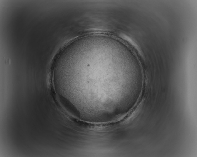 X0000089381357200706291309
