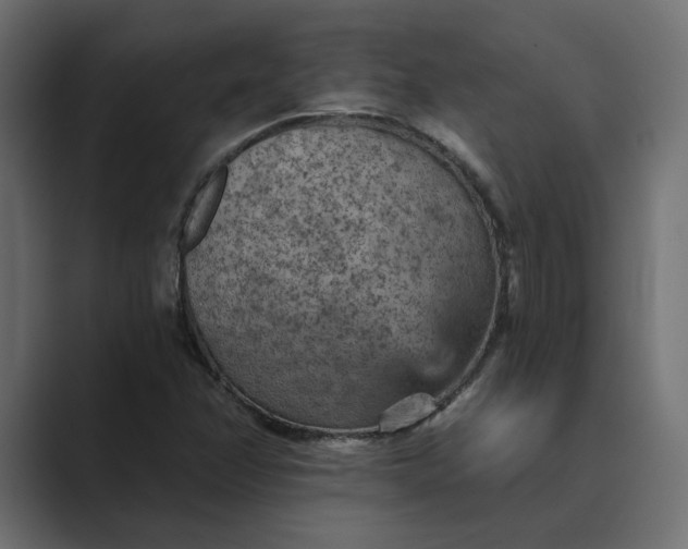 X0000089381358200706291309