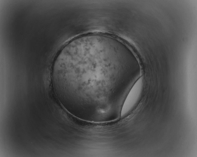 X0000089381359200706291309