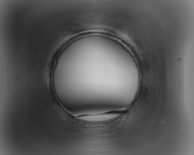 X0000089381360200706291309