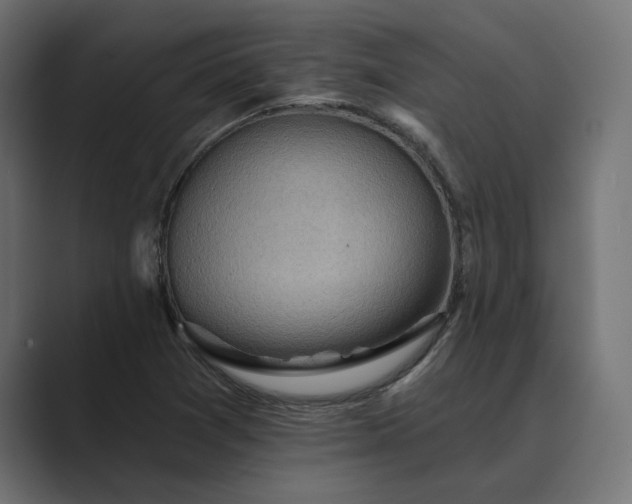 X0000089381361200706291309