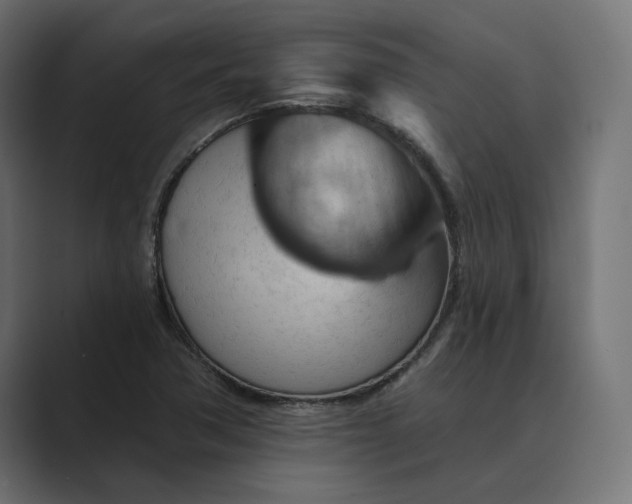X0000089381362200706291309