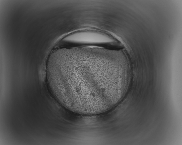 X0000089381363200706291309