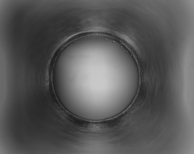 X0000089381364200706291309