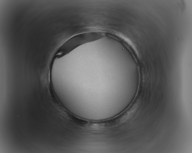 X0000089381365200706291309