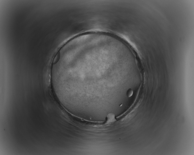 X0000089381367200706291309