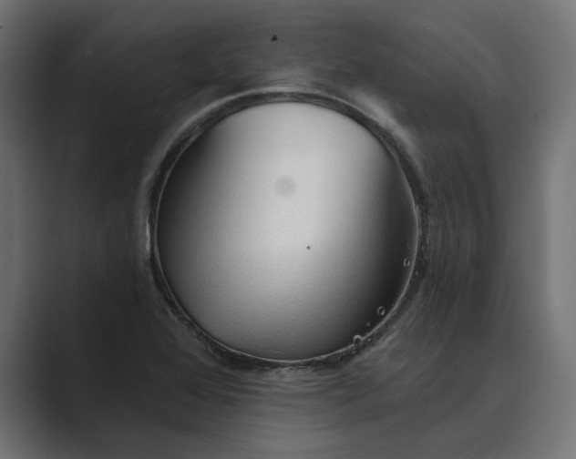 X0000089381368200706291309