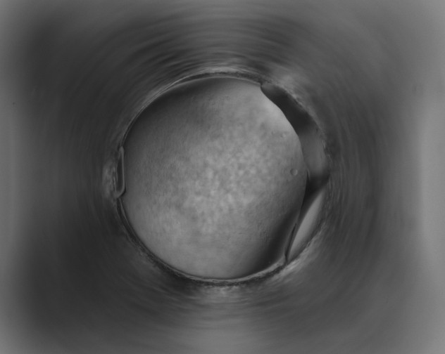 X0000089381369200706291309