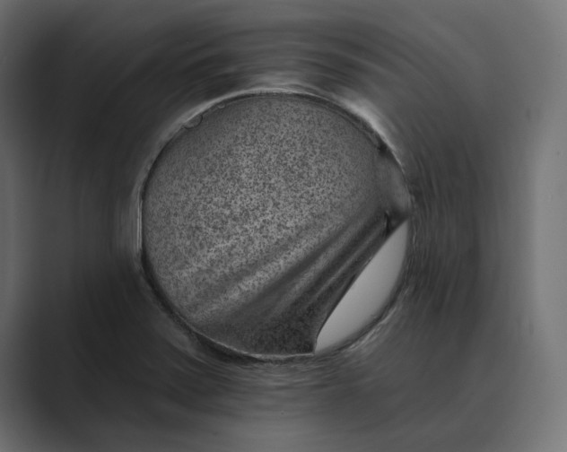 X0000089381371200706291309