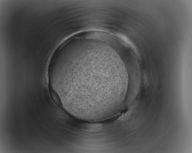 X0000089381372200706291309
