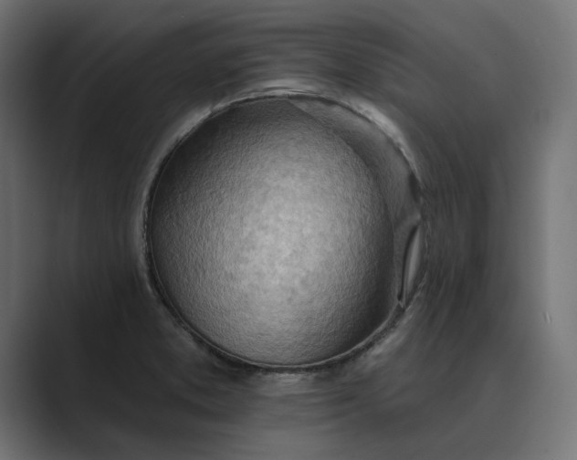 X0000089381373200706291309