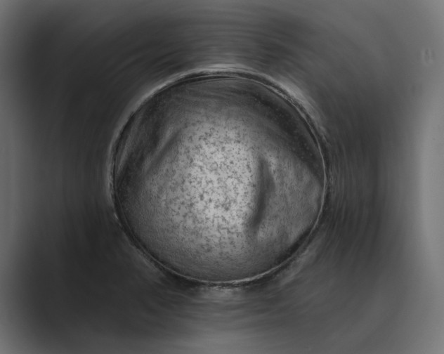 X0000089381374200706291309
