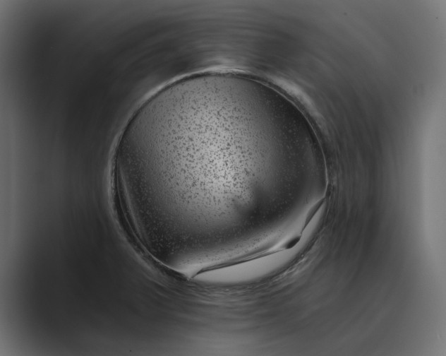 X0000089381375200706291309