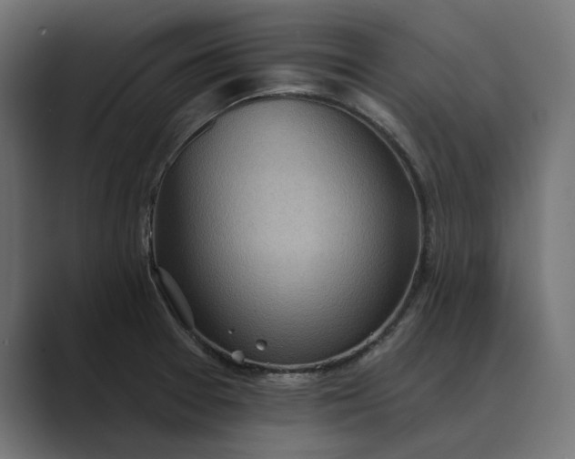 X0000089381377200706291309
